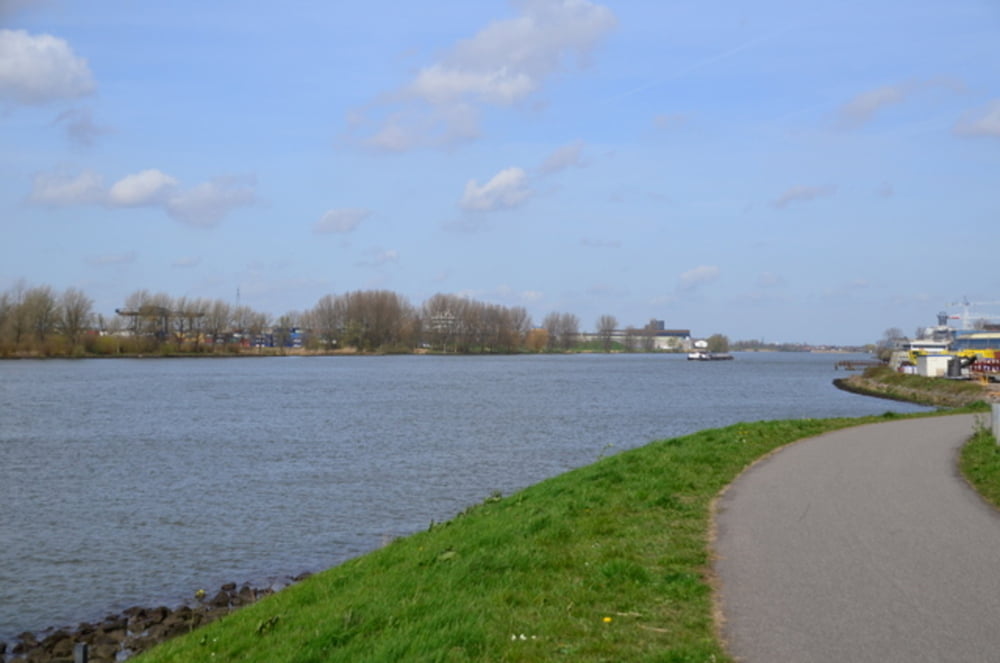 Kinderdijk