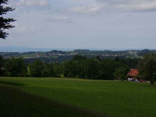 Hohenweiler - Scheidegg