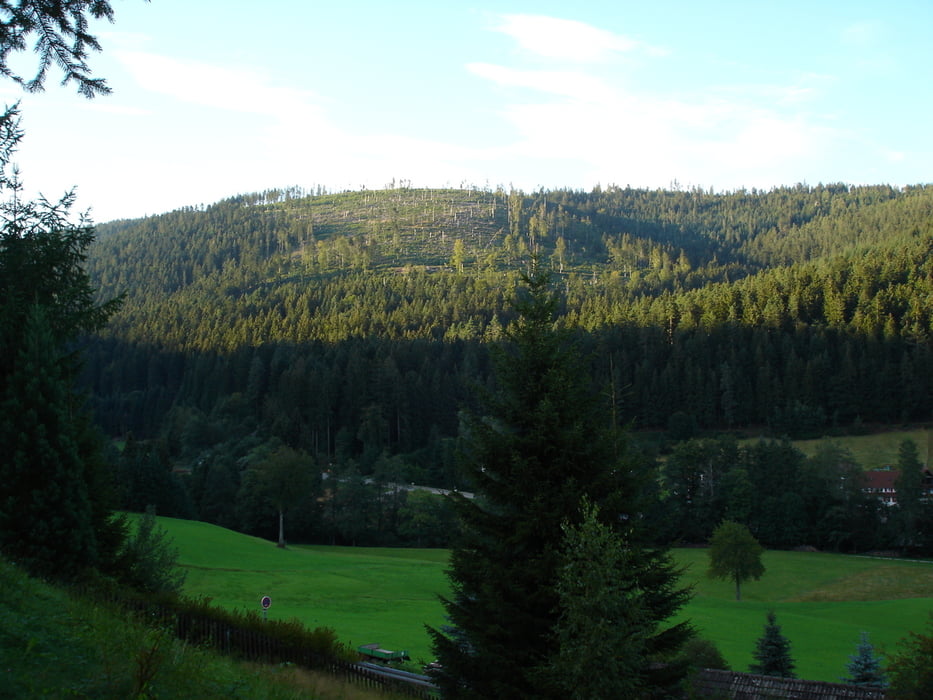 Tour rund um Obertal (Baiersbronn)