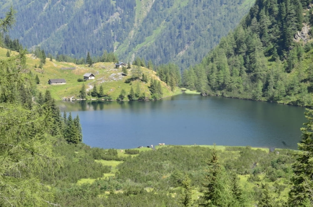 Süßleiteck von St. Nikolai im Sölktal