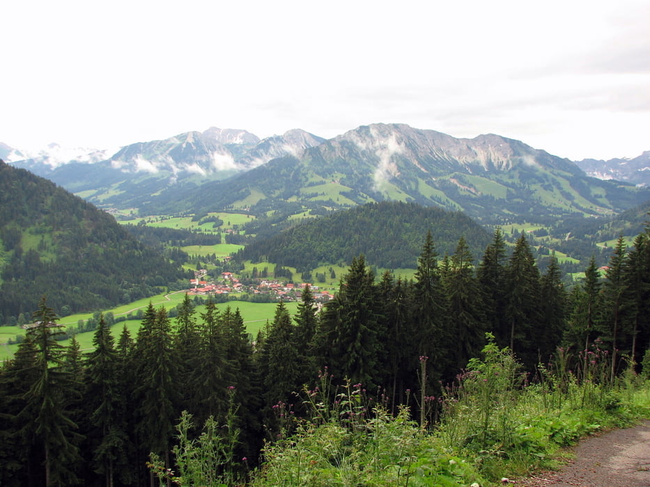 Wertacher Hörnle (1685 m) über Schnitzlertalalpe