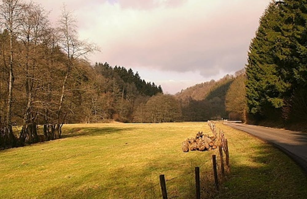 Püngelbach [75]