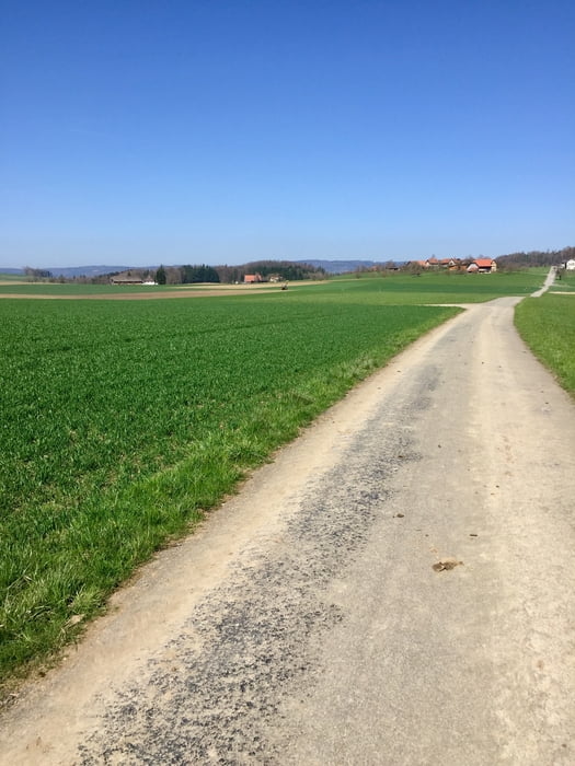 Elgg-Buch bei Frauenfeld-Wäldi-Oppikon-Stettfurt-Aadorf