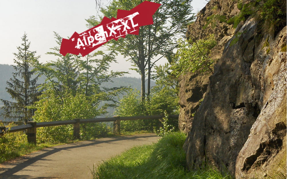 1340 hm bis zum Arbergipfel