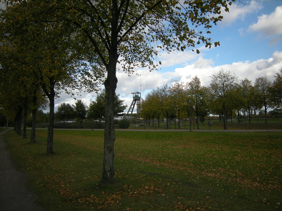 Laufen im grünen Strukturwandel
