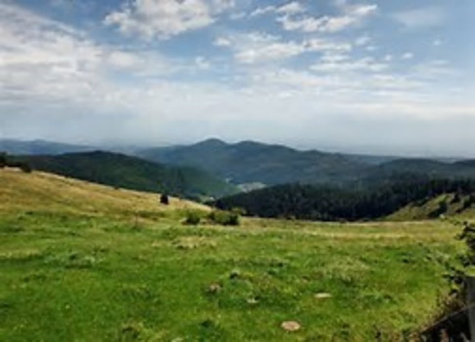 Elsass