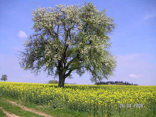 von Irrel ins Sauertal und nach Echternach