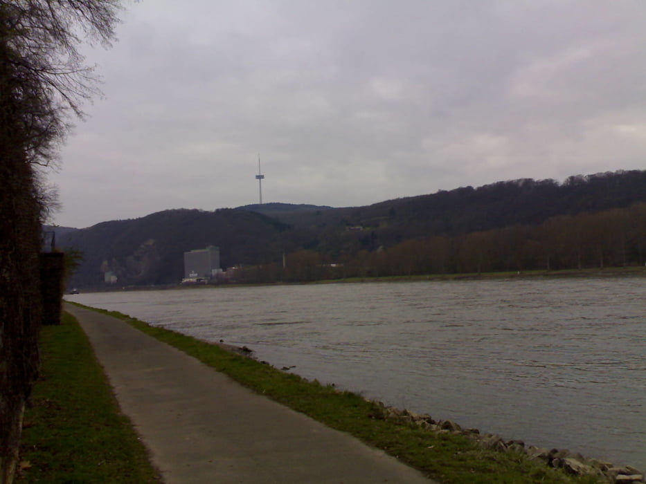 Kühkopf Koblenz