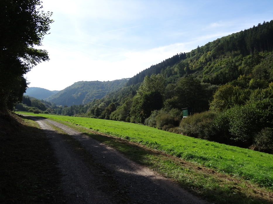Wander- Mountainbikeweg Enkirch E 5 (Rückweg über Weinkammer)