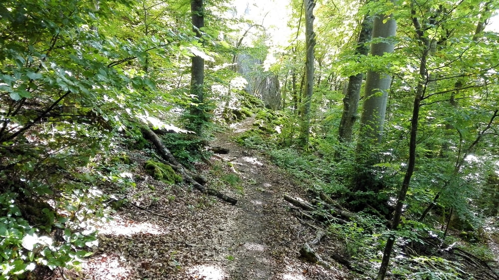 Lautertal-Schaukel