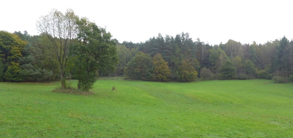 Himmelreich