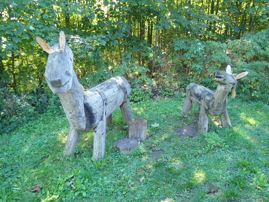 Von Osterode am Harz zum Eselsplatz und zur Sösetalsperre