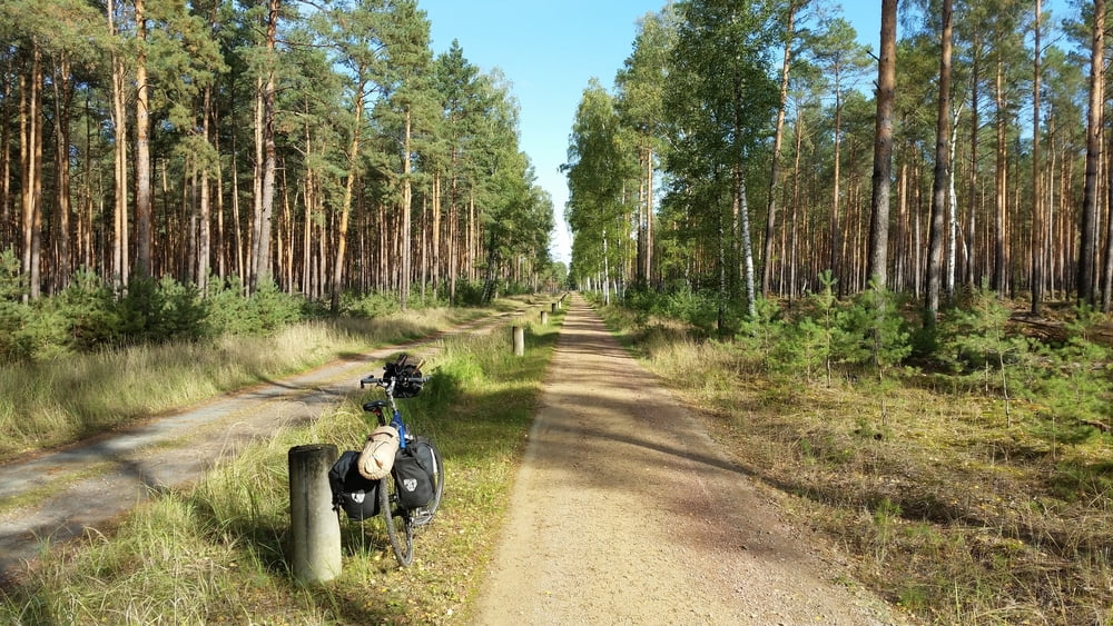 337. Spreewald Tour über 7 Verschiedene Radwege