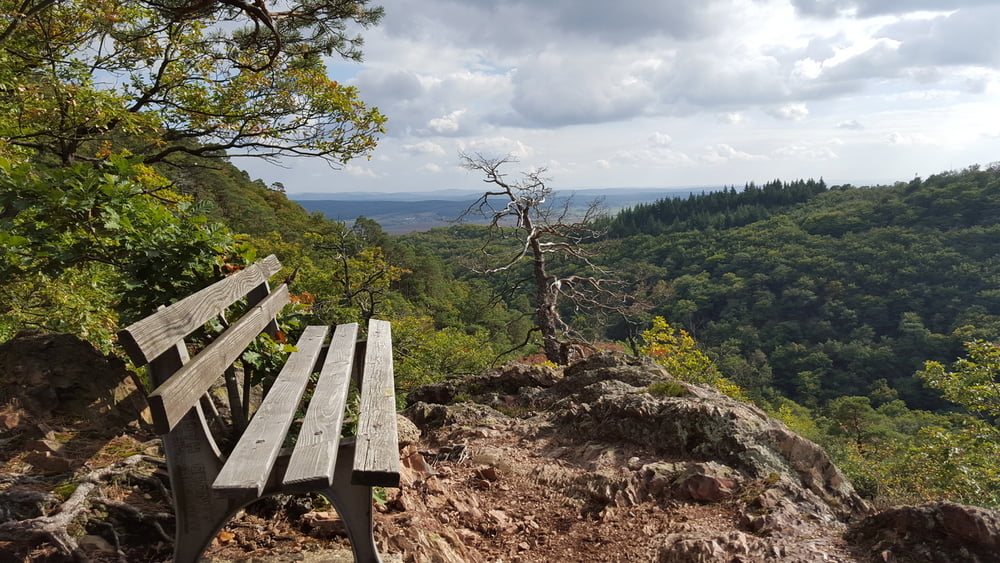 Durch das Wildensteiner Tal