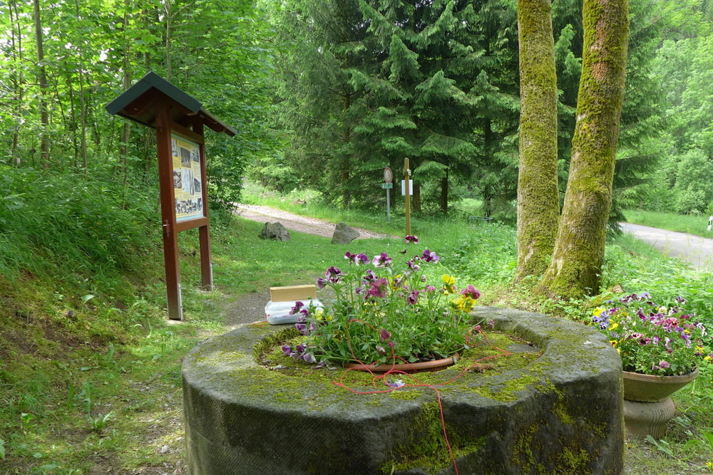 Talsperre Lehnmühle - Umrundung samt Körnermühle und Lärchenhübel