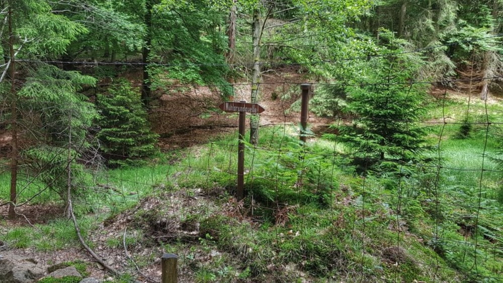 durch den Mühlgrund