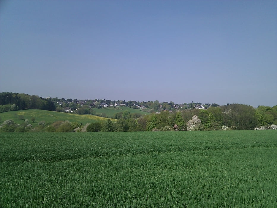 Bachtäler und Höhen bei Höhscheid