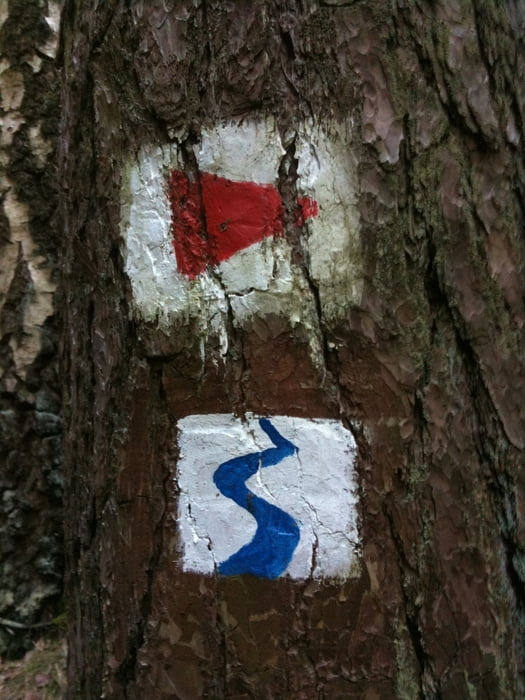 Weiden - Keplerpfad - Doost - Floß - Fischerberg -Weiden