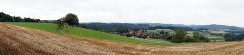 Winterthur 16km Jogging 