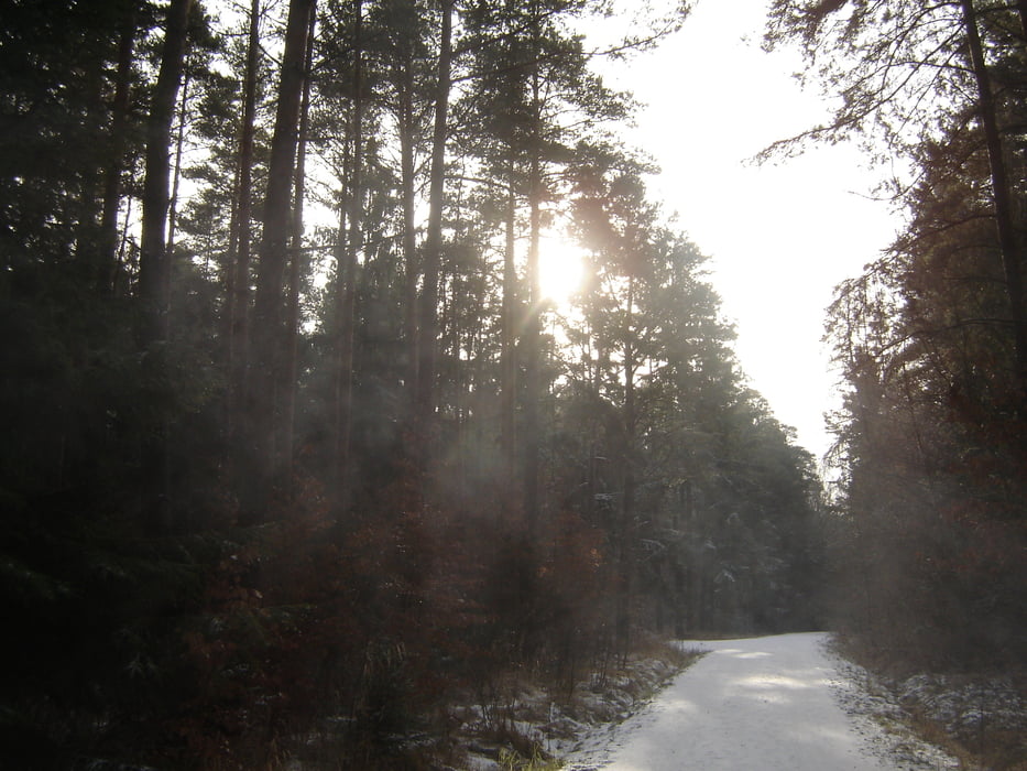 Weihnachtsausfahrt um Herrieden 09
