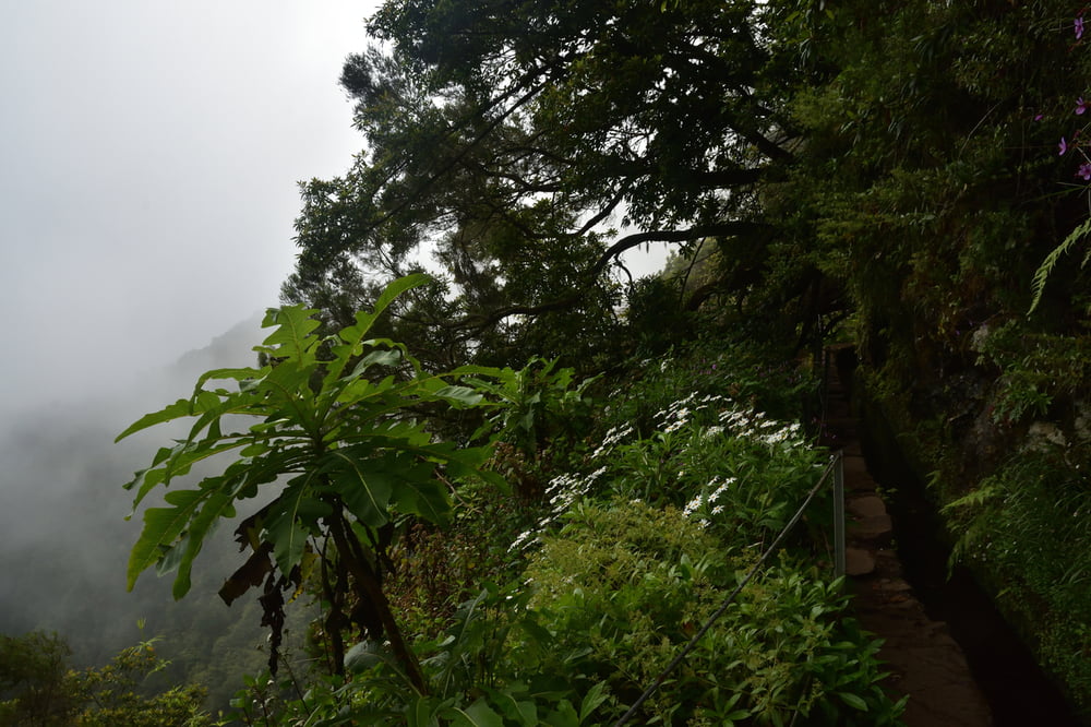 Caldeirão Verde