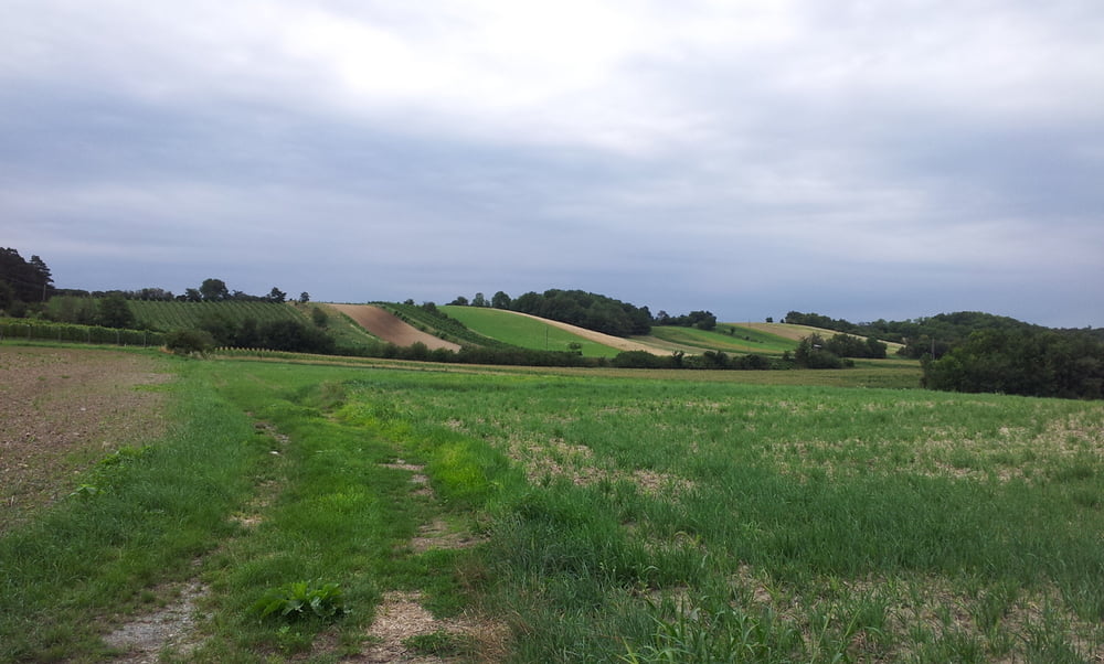 Seibersdorf