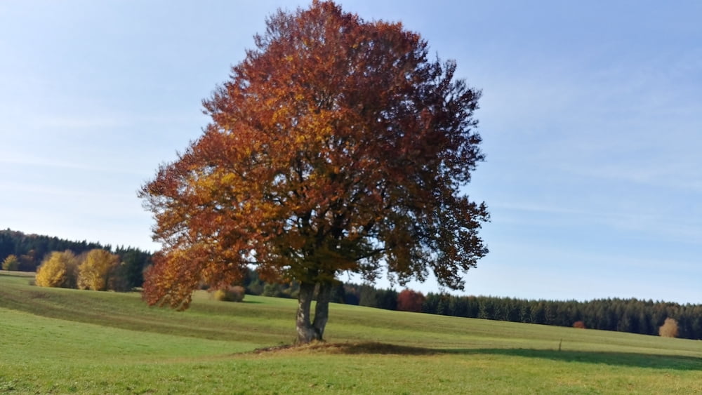 Marbach Runde