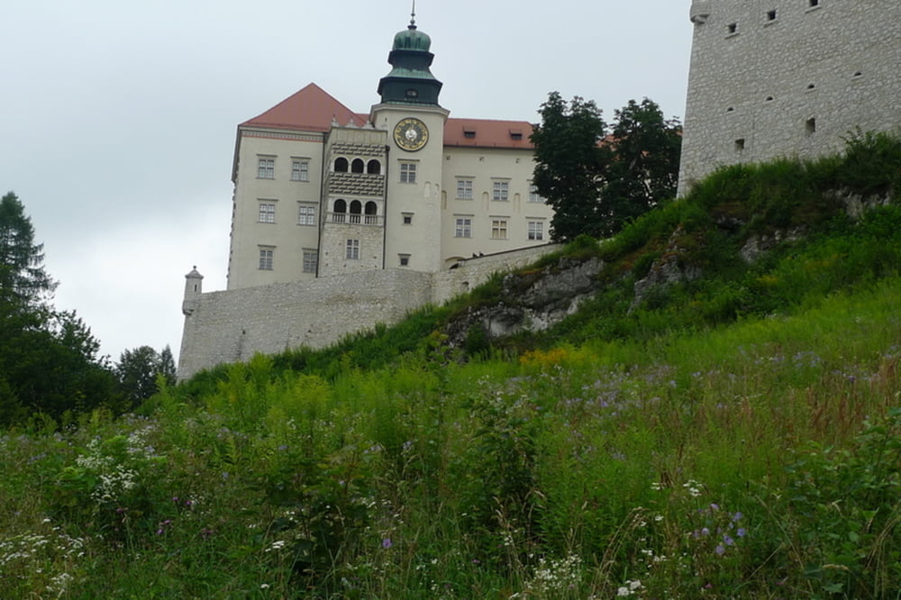 Pieskowa Skała