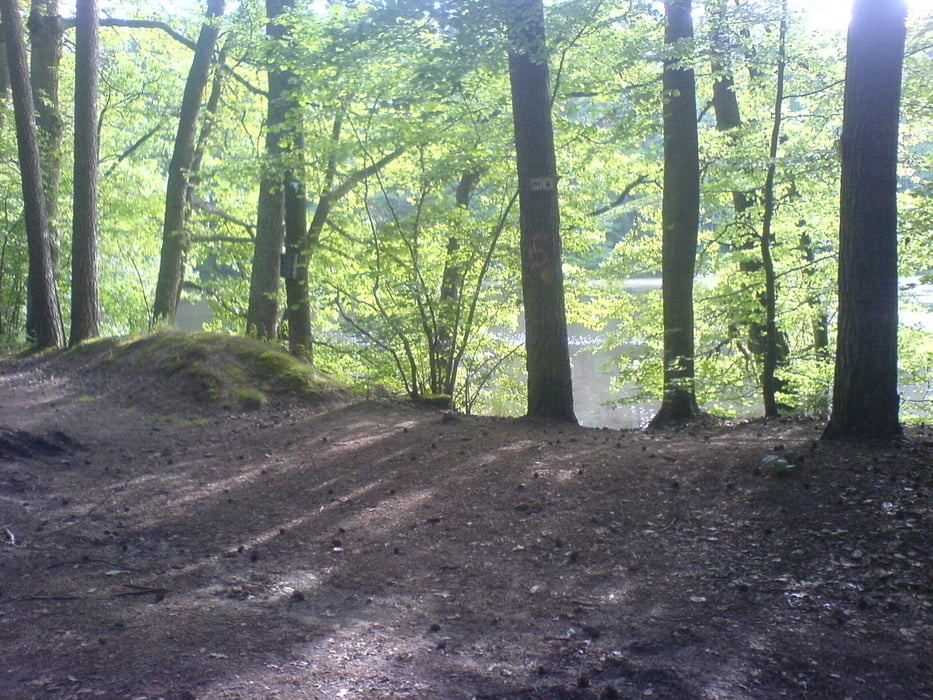 Mönchsee Trails