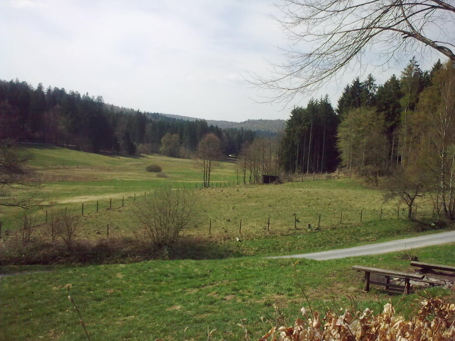 Zum Sylvan und durchs Hafenlohrtal