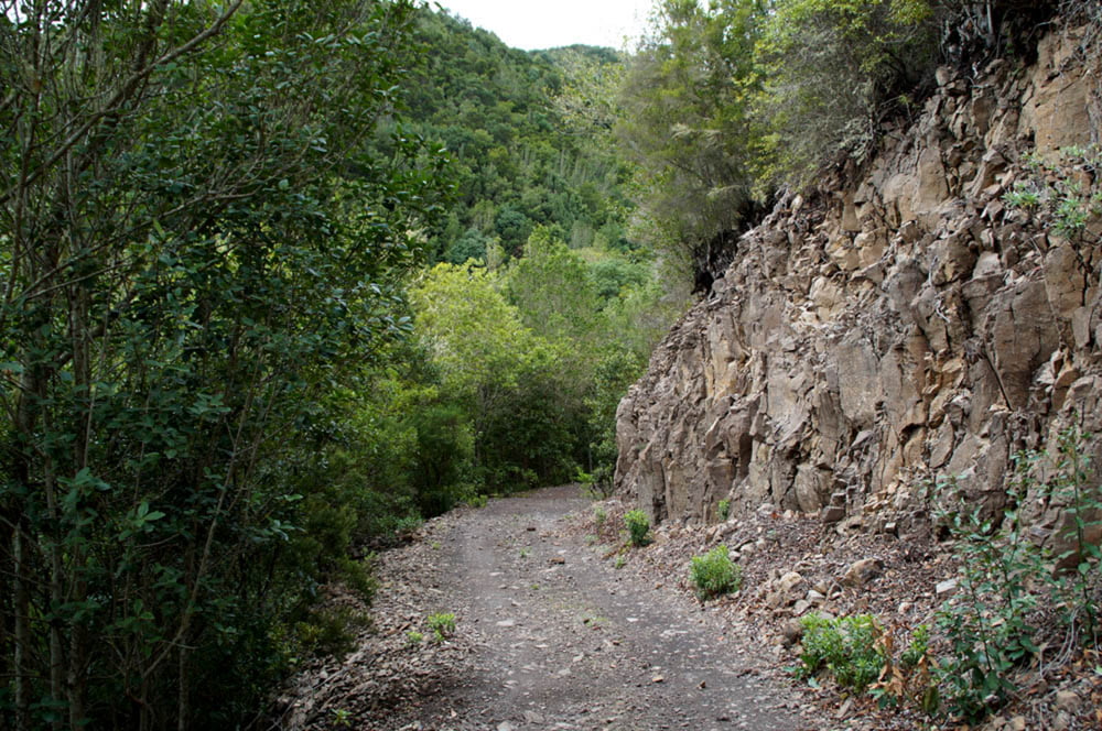 Freeride im Monte del Agua (Teno-Gebirge)
