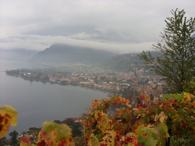 Comersee: Weinbergwanderung Gravedona/Domaso - Segna Gaggio