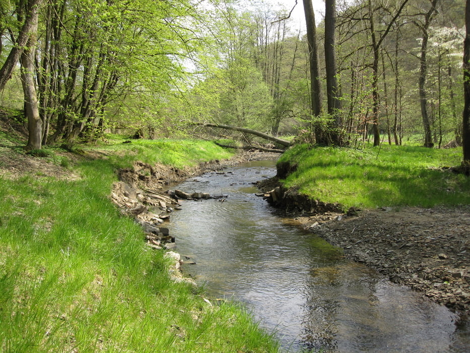 110417  Naafbachtal