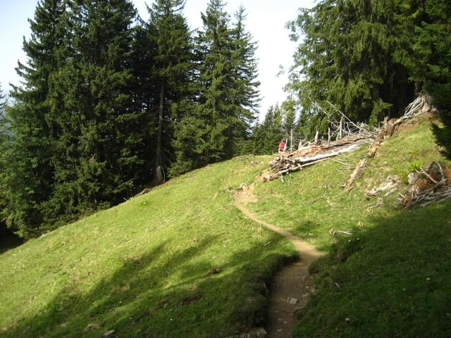 Grasgehren - Alpeneinkehr - Obermaiselstein