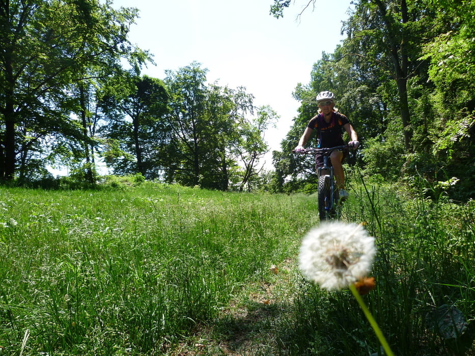 Donautrails Regensburg-Pentling-Walba-Abbach-Rosengarten-Jurasteig-Sinzing