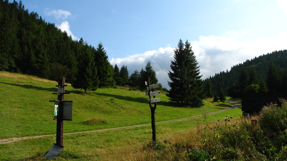 20080816_Vlkolínec a Malinné