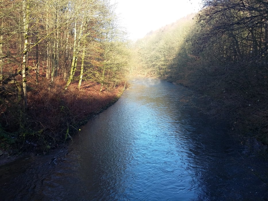 An der Wupper entlang zum Rhein