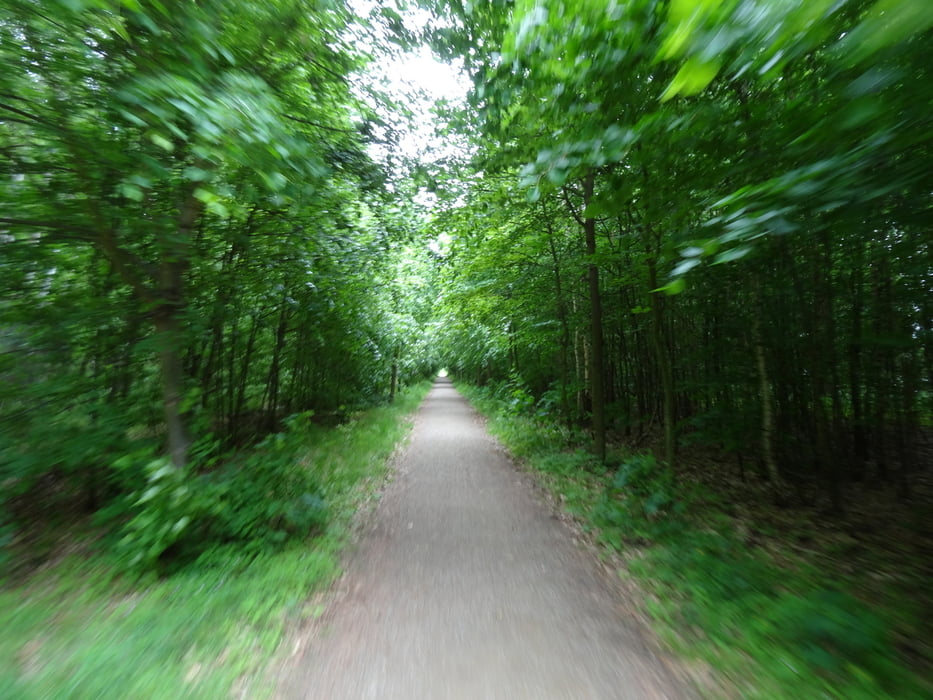 Wannseerunde