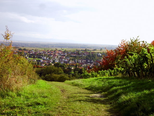 Wein nach Frankreich tragen?