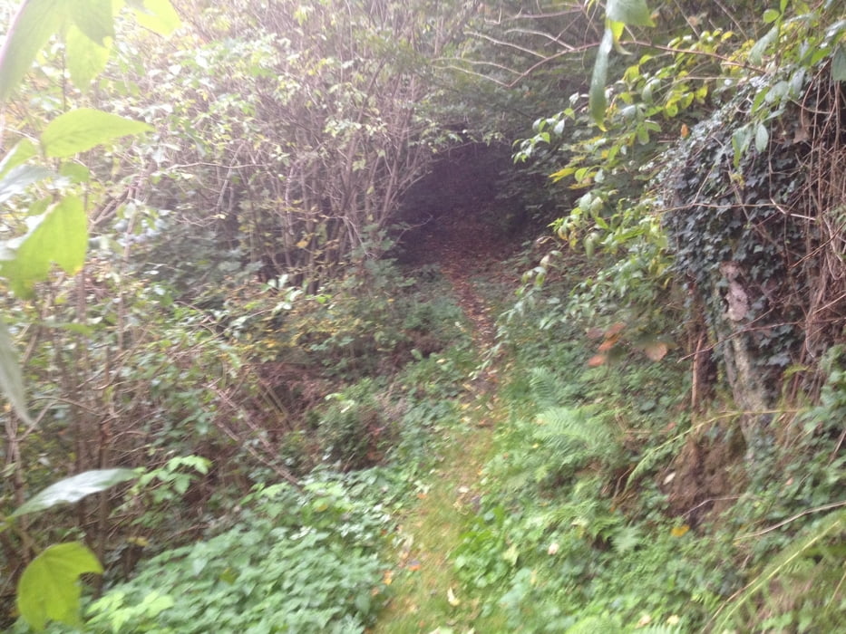 Trailrunde um Bad Berneck