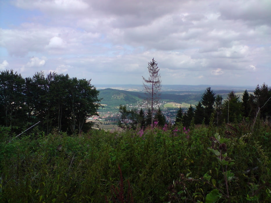 Zierenberg MTB Marathon 2008 + 2009
