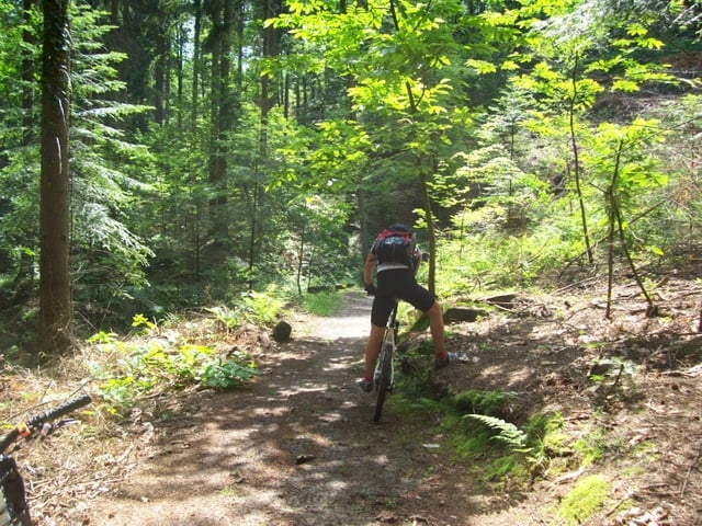 Schwarzwald