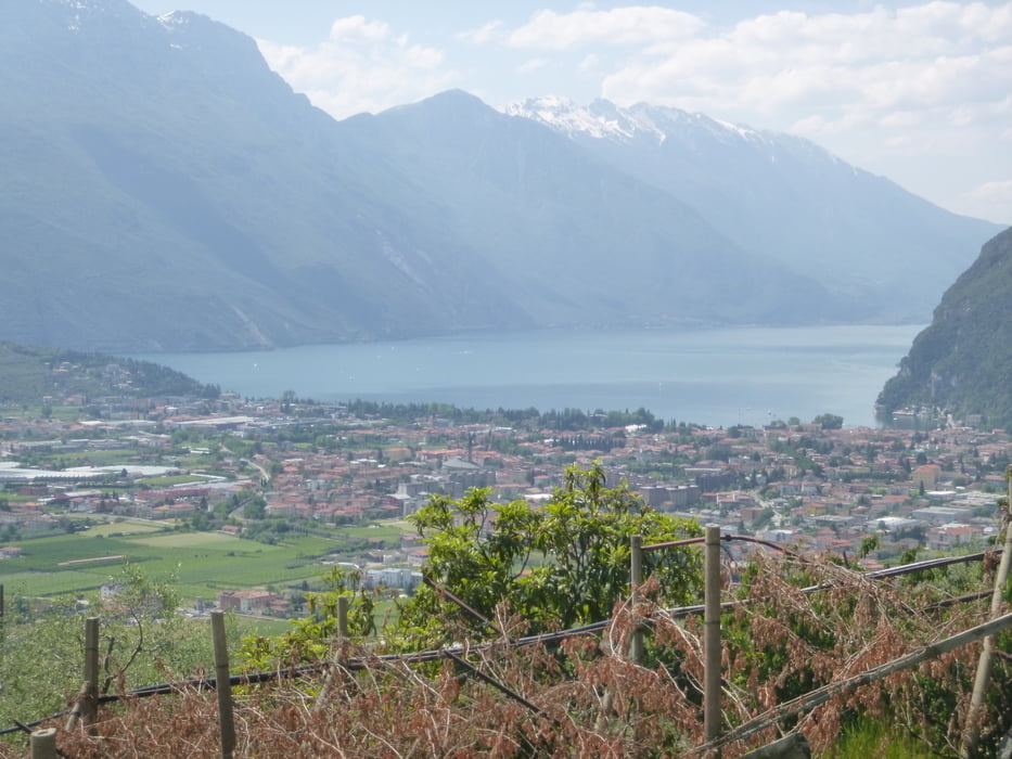 Bastiani Trails