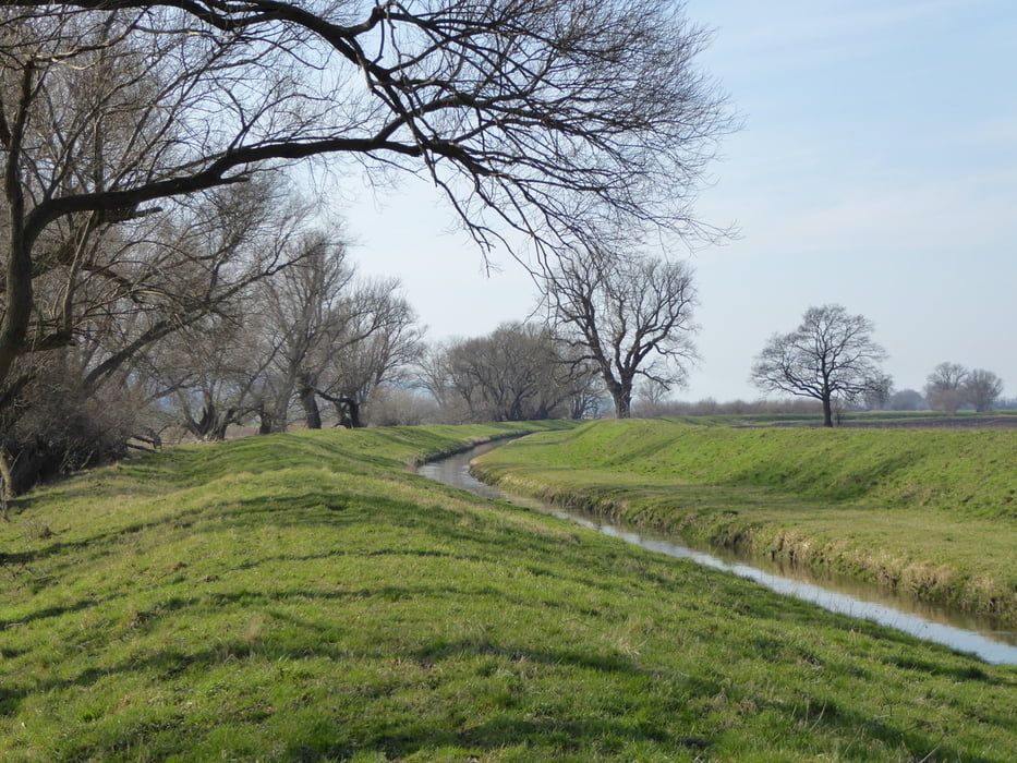 Aue Fallstein - Grosses Bruch - Wasserschloss Westerburg