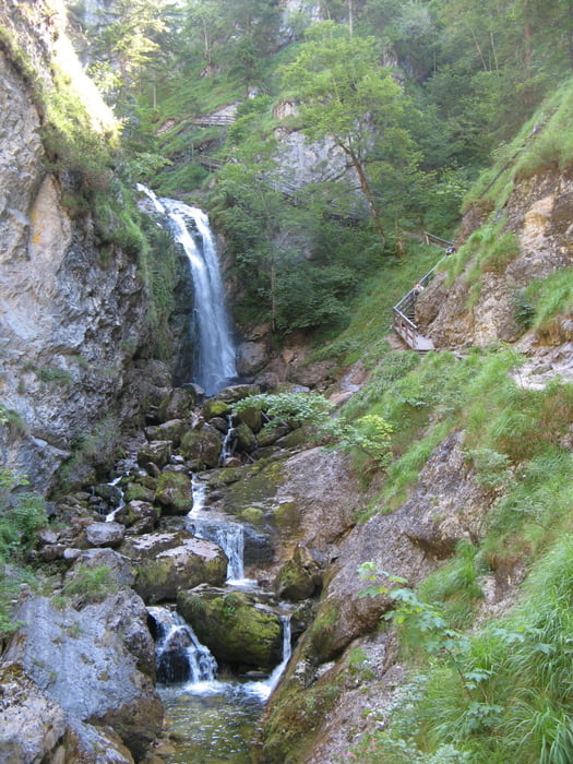 Palfauer Wasserloch