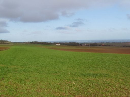 Wissant