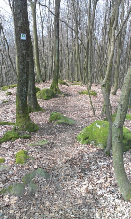 Trails auf dem Schmugglerpfad