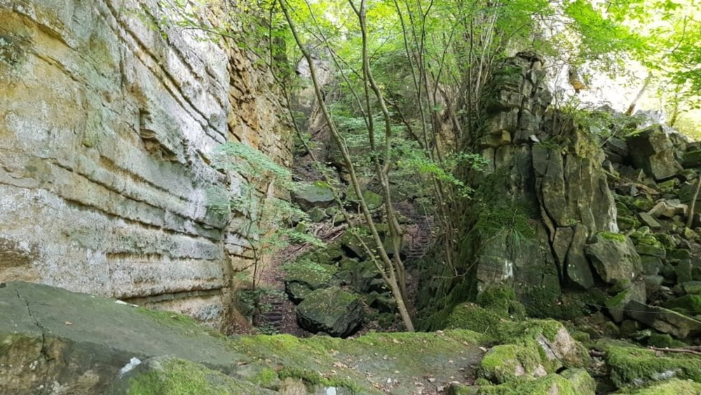 Echternacherbrück - Berdorf - Echternacherbrück