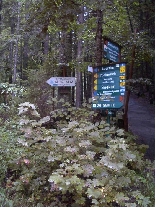 Fockenstein über Aueralm