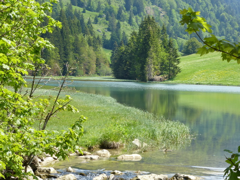 Balderschwang - Lecknertal